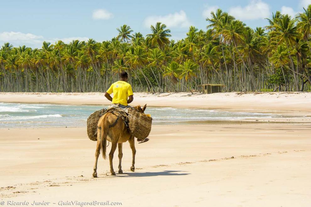 Imagem de um homem andando de jegue nas areias da praia.